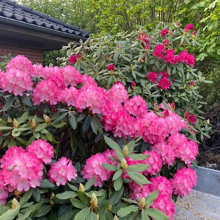 Korestolsvenligt Dbl. Vaer.